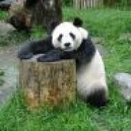 Mr.Pandah