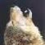 GrrWolfie