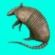 Solytus