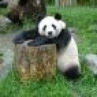 panda_communist