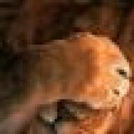 Leonax