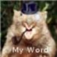 TsunamiWombat