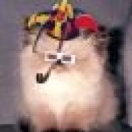 Sccye