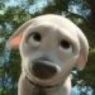 Maceggie