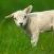 Wilfy