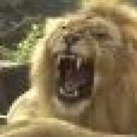 AlphaLion