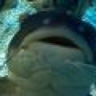 Zac_Dai