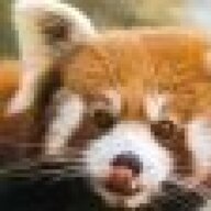 RedPandaMan