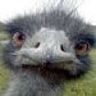 Felgy76