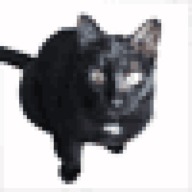 flyingkitty67