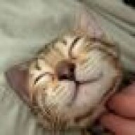 DrunkenKitty