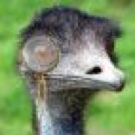 Flying-Emu