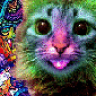 TheRightToArmBears