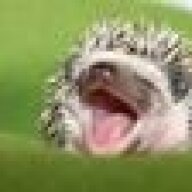 Vuzzmop