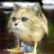 NickNegral