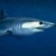 Mako144