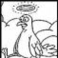 Dead Bird