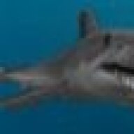 blackshark121