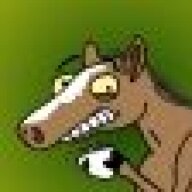 brumby