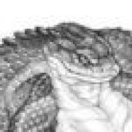 SerpentStare