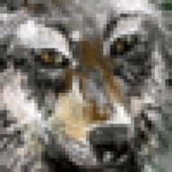 Wolfrug