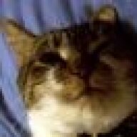 Turtlecatpurrz
