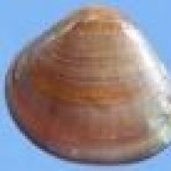 MalloClam