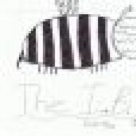Tepes