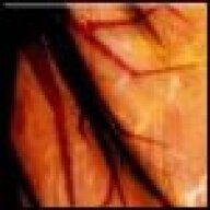 ty12004