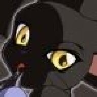 ShadowKatt