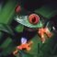 Kvlfrog