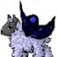 noctifyre