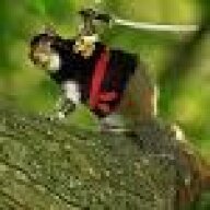 NinjaSquirrel