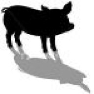 Shadow Pig