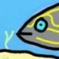 Streaky Haddock
