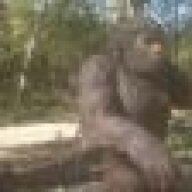 GrouchyBigfoot