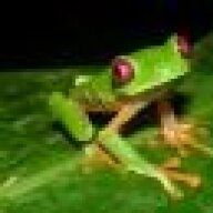 Frog_Girl