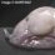 theunreliablecritic