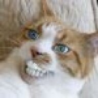 Lly