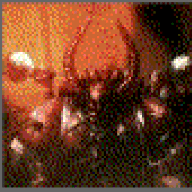 karloss01