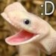 The Lizard of Odd