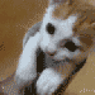 SeanTheSheep
