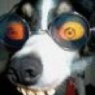 dogmeat-the-stray