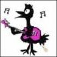 Blindrooster