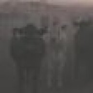Demon_Cow