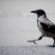 Section Crow