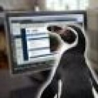 Pinguin