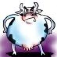 CowDenStar
