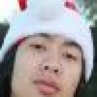 thevillageidiot13