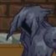 sharklion